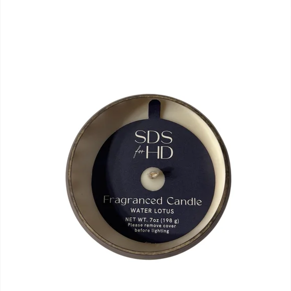 Silver Egg-Shaped Decorative Candle By SDS for HD - Picture 3 of 4